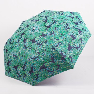 Umbrella Palm Leaf